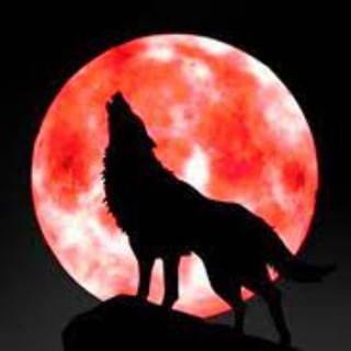 Telegram profile photo for 实名认证/接码-各种云账号