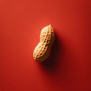 Telegram profile photo for Peanut Boy