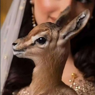 Telegram profile photo for ᷂مكانَ ᷂الجَميلاتِ