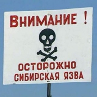 Telegram profile photo for сибирская язва