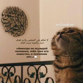 Telegram profile photo for neslamlen 🕋