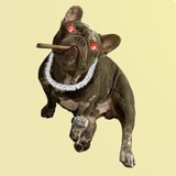 Telegram profile photo for GANGSTA PORTAL