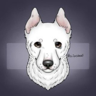 Telegram profile photo for Новости американца 🌸🌷