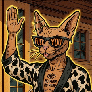 Telegram profile photo for Bonk 404