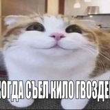 Telegram profile photo for Zаготовки