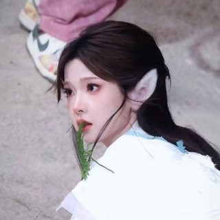 Telegram profile photo for meowyı 