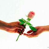 Telegram profile photo for همسر داری