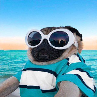 Telegram profile photo for REDO | ПОДАРОК ЗА ПОДПИСКУ |