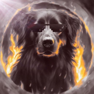 Telegram profile photo for Мысли Бродяги
