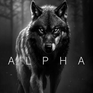 Telegram profile photo for Legit Alphas🇮🇳