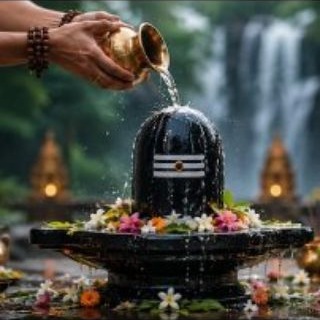 Telegram profile photo for IN999 HUB TEAM BIHAR