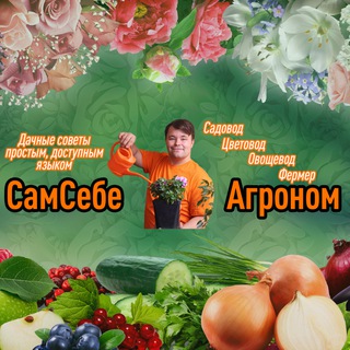 Telegram profile photo for СамСебеАгроном