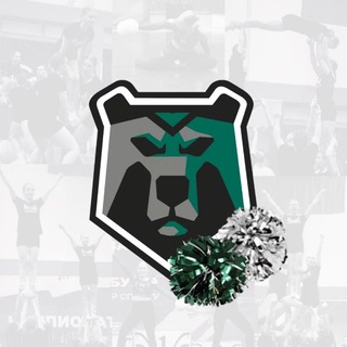 Telegram profile photo for Black Bears_Cheer