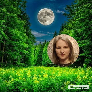 Telegram profile photo for Лес Луны с Еленой Подлесных