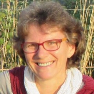 Telegram profile photo for Homeschooling wagen