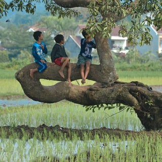 Telegram profile photo for hanya hiburan