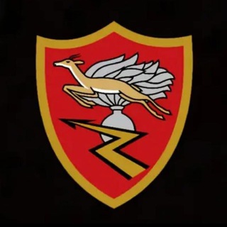 Telegram profile photo for ALLIEVI CARABINIERI 2026 (CAR26)