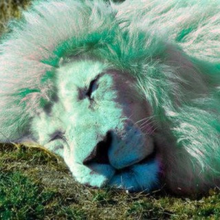 Telegram profile photo for burnednurse