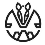 Telegram profile photo for Google Voice/GV批发个人一手(源头底价)