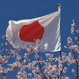 Telegram profile photo for いっしょに日本語を勉強しましょう