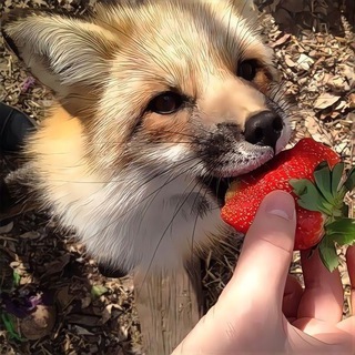 Telegram group profile photo for подборка 0+ от рины
