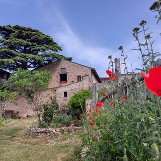 Telegram profile photo for La Romita di Fra Bernardino