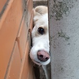 Telegram profile photo for 🥰Любов яка має бути подарована 🥰