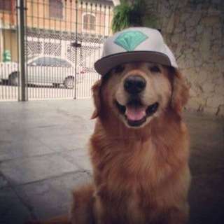 Telegram profile photo for RudyScalp