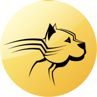 Telegram profile photo for RdpGuard