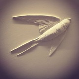 Telegram profile photo for SCULPT SERVICE
