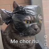 Telegram profile photo for ChinalaPur