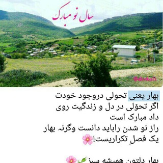 Telegram profile photo for عبداللهی نگین 1000 جریب