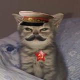 Telegram profile photo for DorienHistory