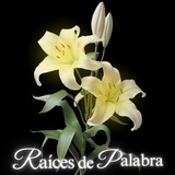 Telegram profile photo for RAÍDEPAL ASOCIACIÓN