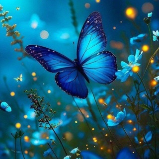 Telegram profile photo for حسرت... 🦋