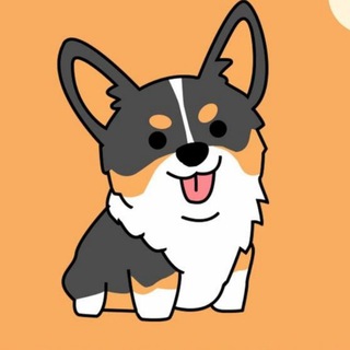 Telegram profile photo for Baby Corgi
