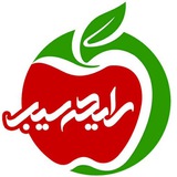 Telegram profile photo for آموزش برتر