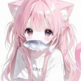 Telegram profile photo for 护航仔官方频道