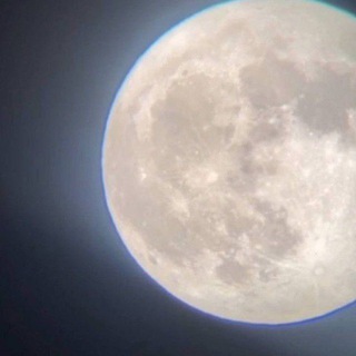Telegram profile photo for торсни этсам