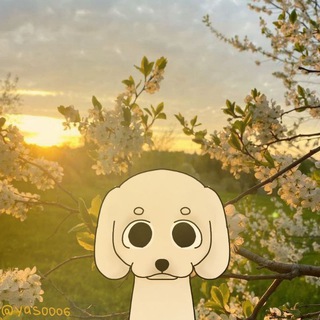 Telegram profile photo for ɯ᧐κ᧐᧘ᥲднᥲя🍫(ᥰдδ