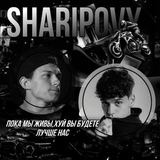 Telegram profile photo for SHARIPOVY — CHANNEL