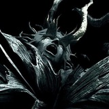 Telegram profile photo for Наличие 𝕾𝖙𝖊𝖗𝖛𝖆 𝖘𝖍𝖔𝖕