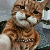 Telegram profile photo for گاهی خنده | Sometimes Laugh