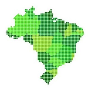 Telegram profile photo for Brasil pela Tecnologia Segura