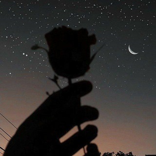 Telegram profile photo for The Story Of My Heart💔🥀