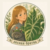 Telegram profile photo for Лесная братва 🪴