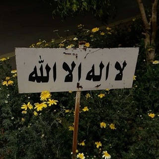 Telegram profile photo for القرآن الكريم، اذكار ،آيات قرآنية🌿