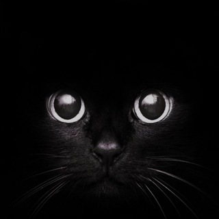 Telegram profile photo for Бьём баклуши (Мария)