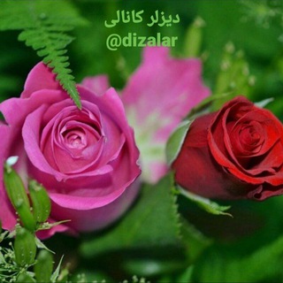 Telegram profile photo for دیزلر کانالی