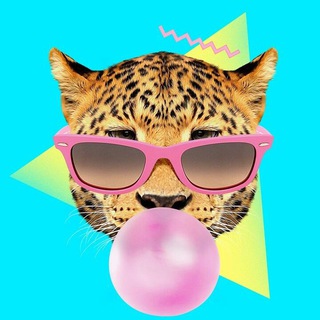 Telegram profile photo for ПАКЕТЫ ДЛЯ МАРКЕТПЛЕЙСОВ